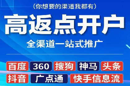 百度竞价广告投放案例解析